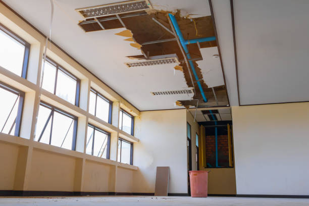 Best Water damage restoration near me  in Byrnes Mill, MO