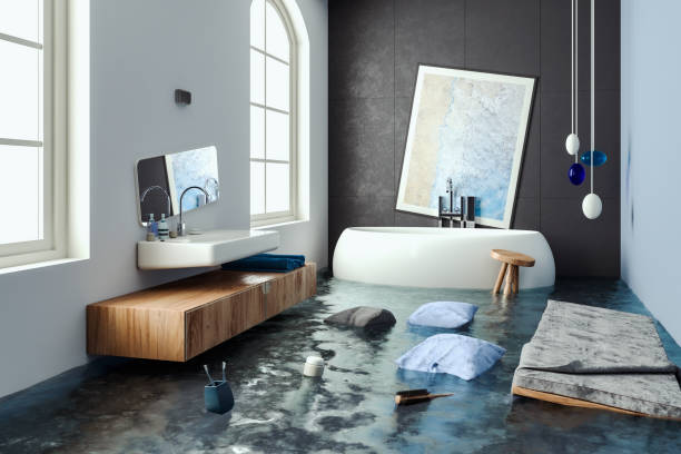 Best Carpet water damage restoration  in Byrnes Mill, MO