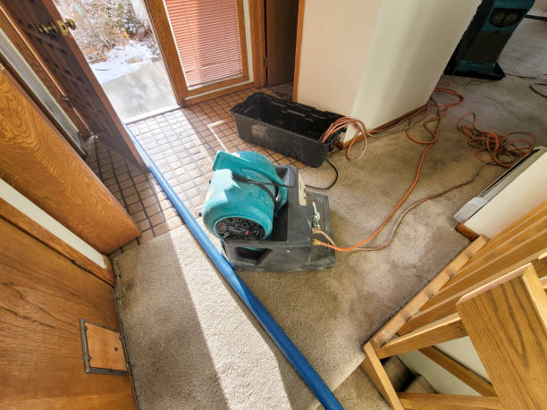 Best Professional water damage repair  in Byrnes Mill, MO