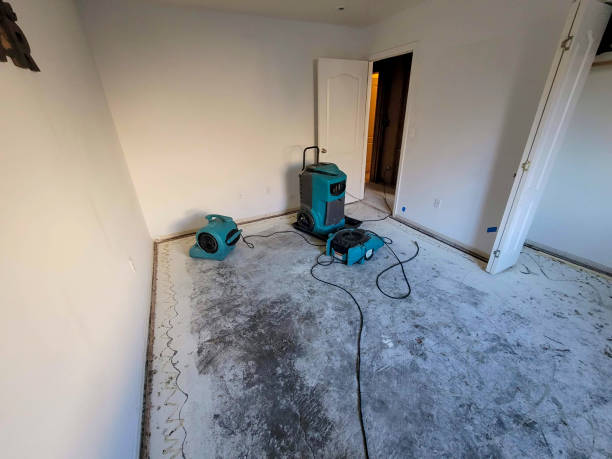 Best Water damage contractors near me  in Byrnes Mill, MO