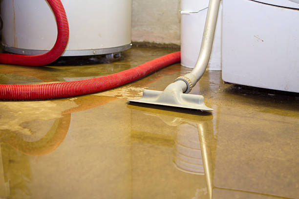 Best 24/7 water damage repair  in Byrnes Mill, MO