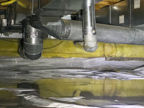 Best Local water damage restoration  in Byrnes Mill, MO