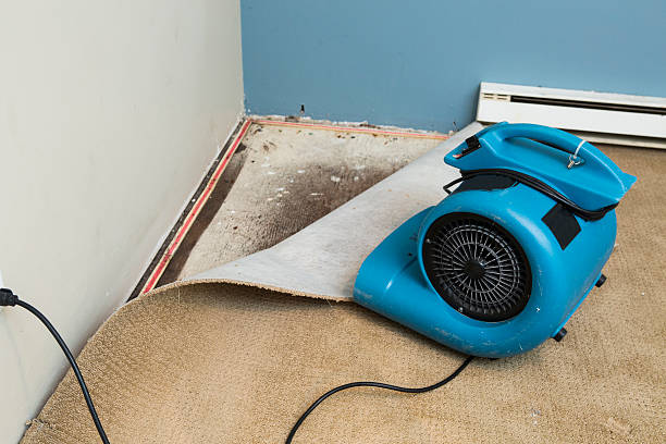 Best Water damage cleanup near me  in Byrnes Mill, MO